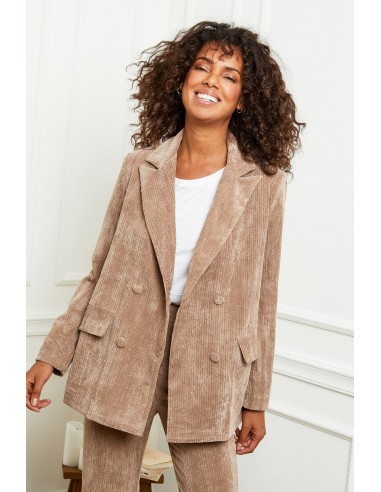 Blazer Assia en velours taupe une grave pollution 